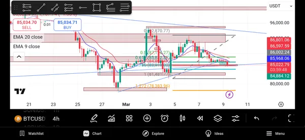BTC،تکنیکال،HoMel113