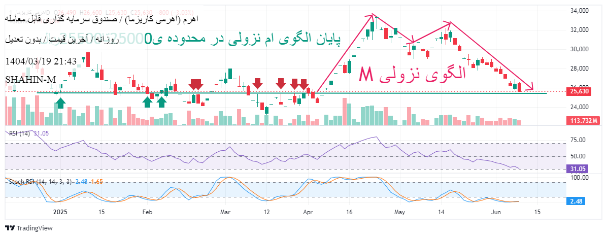 اهرم،Teknik،SHAHIN-M